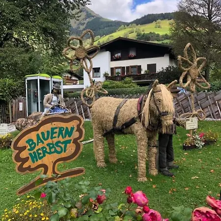 Apartment Andrea 3 Rauris