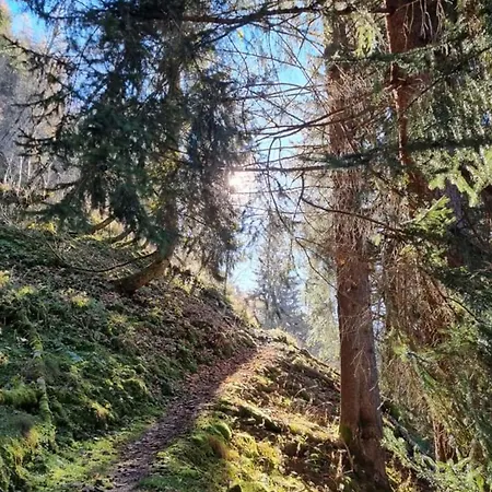 Andrea 3 Apartment *