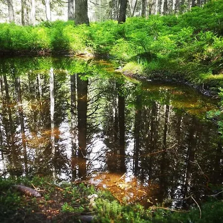 Apartment Andrea 3 *